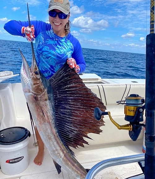 Sailfish